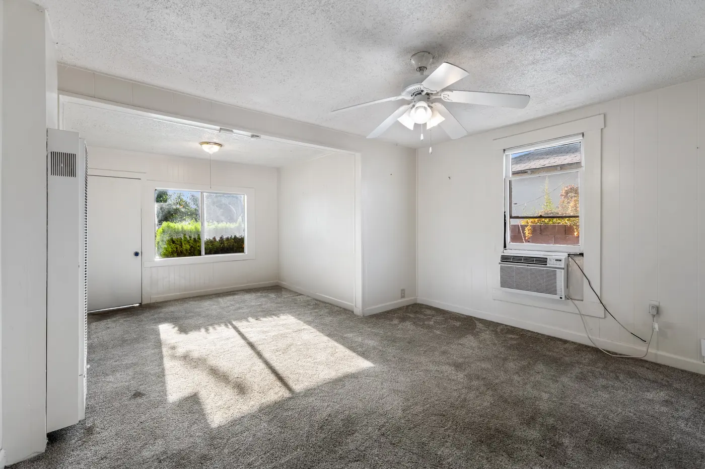 Empty carpeted living room with a ceiling fan and afternoon light across the floor.